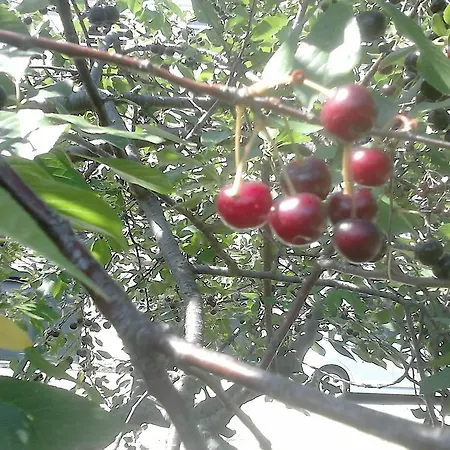 Anamarija's Apartment