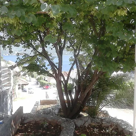 Apartman Anamarija's *