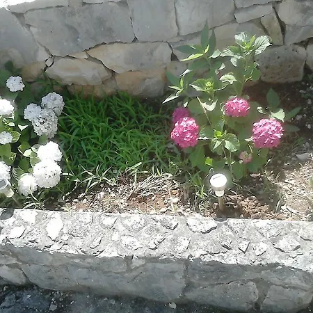 Anamarija's * Medvinjak