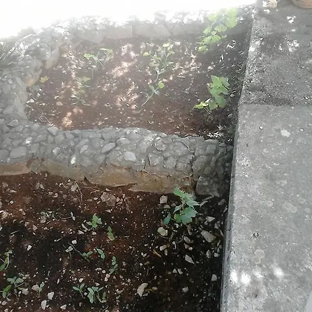 Apartman Anamarija's