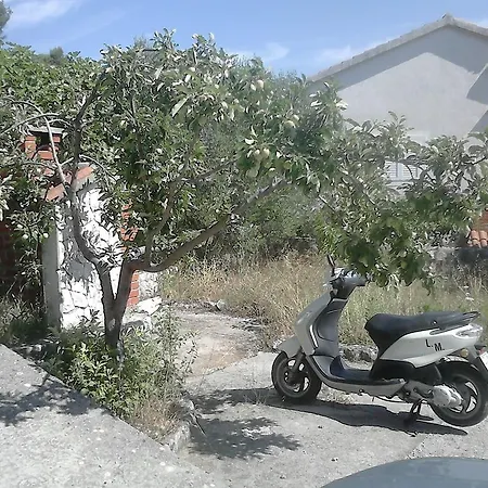 Anamarija's Medvinjak