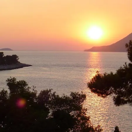 Daire Anamarija's Medvinjak