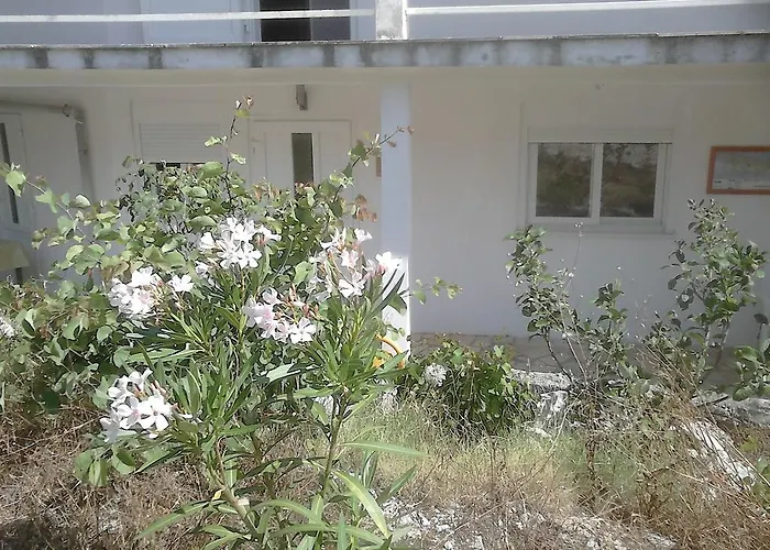 Anamarija's Medvinjak