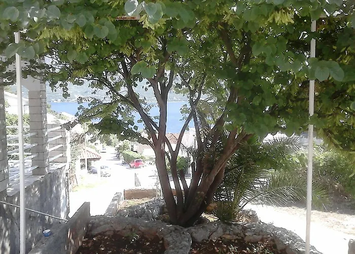 Appartement Anamarija's *