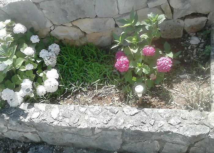 Anamarija's * Medvinjak