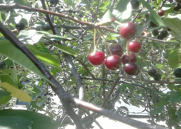 Anamarija's Appartement