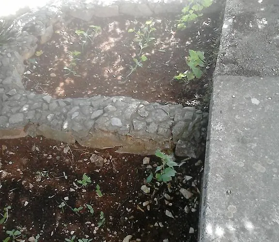 Appartement Anamarija's