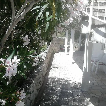 Anamarija's Apartament Medvinjak