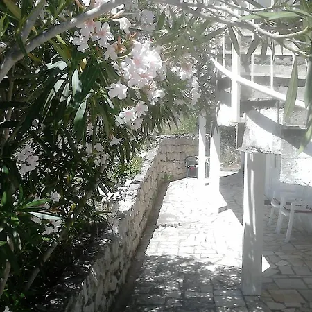 Anamarija's Apartament Medvinjak